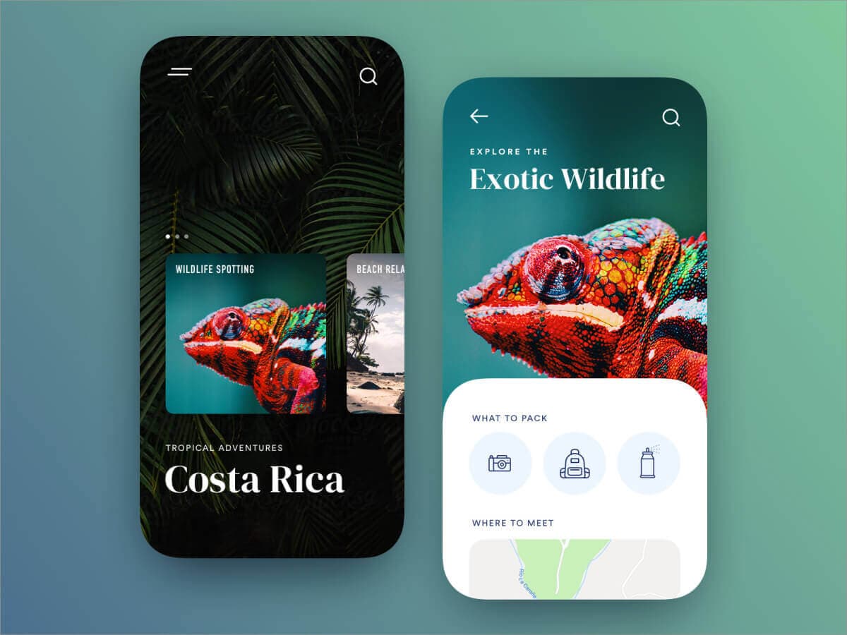 Travel app concept